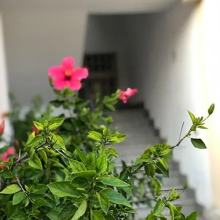 Casa Ale Apartment Villasimius